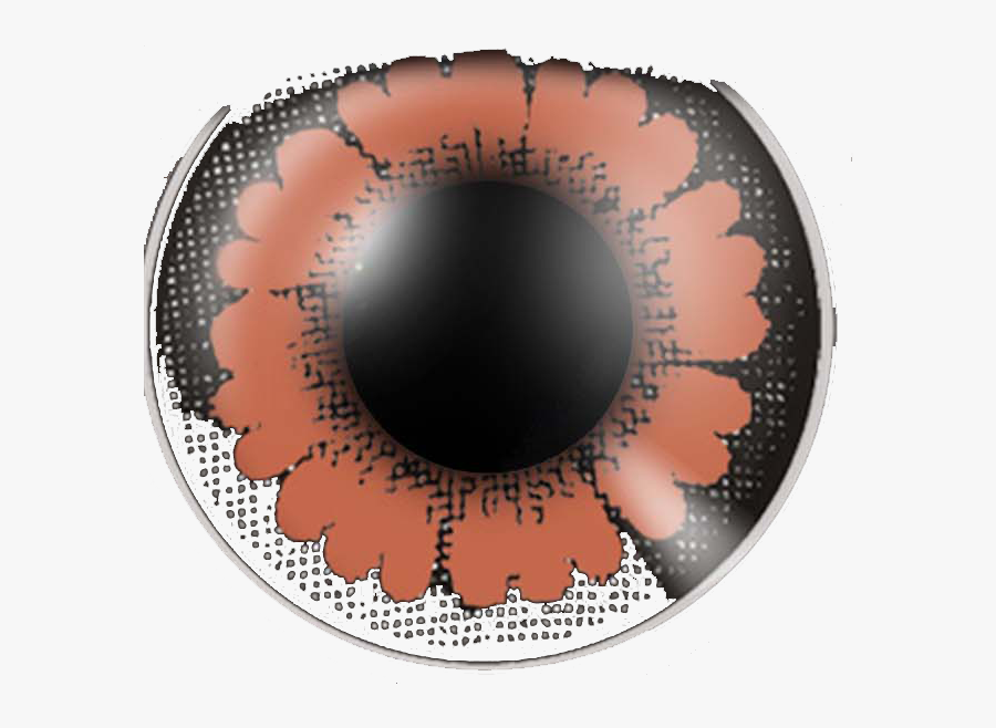 Big Eye Pretty Hazel - Circle, Transparent Clipart