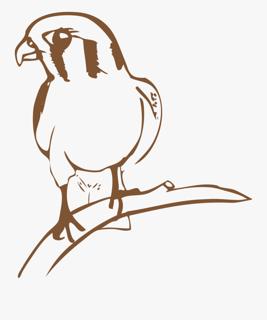 Falcon - นก เหยี่ยว แดง การ์ตูน, Transparent Clipart