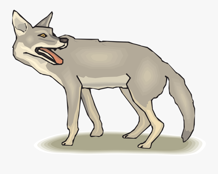 Jackal, Coyote Png, Transparent Clipart