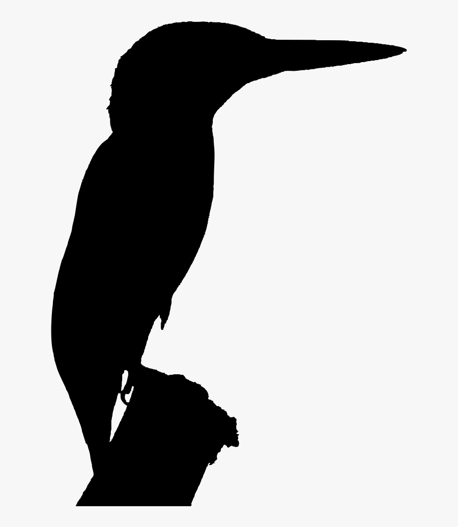 Silhouette Belted Kingfisher Clip Art - Kingfisher Silhouette Png ...