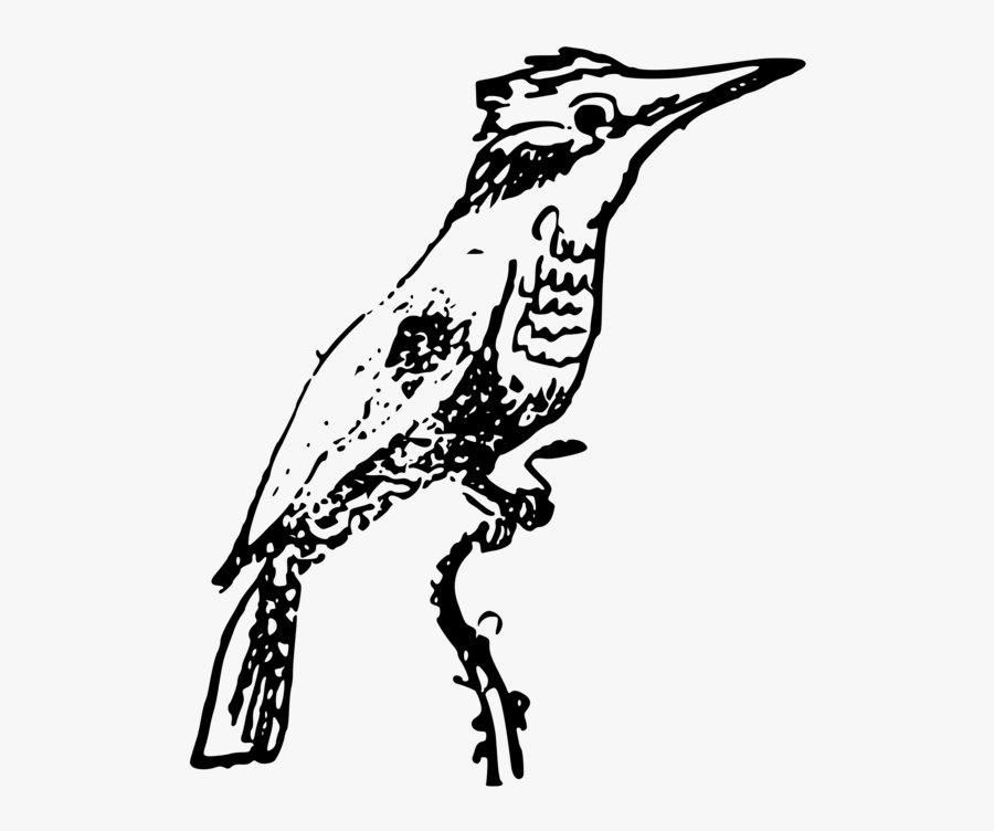 Line Art,stencil,cuckoo - Common Kingfisher, Transparent Clipart