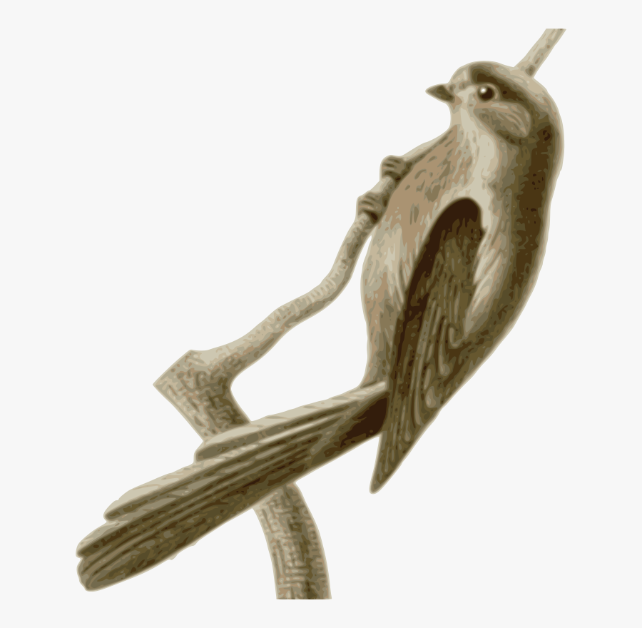 Free Clip Art "aegithalos Caudatus Vinaceus - Long-tailed Tit, Transparent Clipart