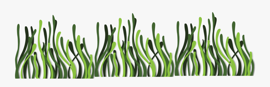 Seaweed Euclidean Vector Deep Sea - Sea Grass Vector Background , Free ...