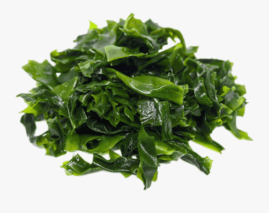 Pile Of Dark Green Seaweed - Omega 3 Vegan, Transparent Clipart