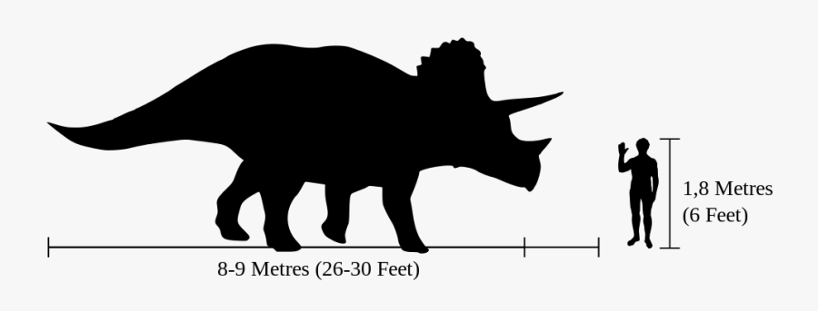 Clipart Skeleton Triceratops - Triceratops Compared To Human, Transparent Clipart