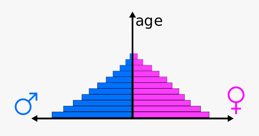 Pyramid Clipart Population - South Korea Literacy Rate Graph, Transparent Clipart