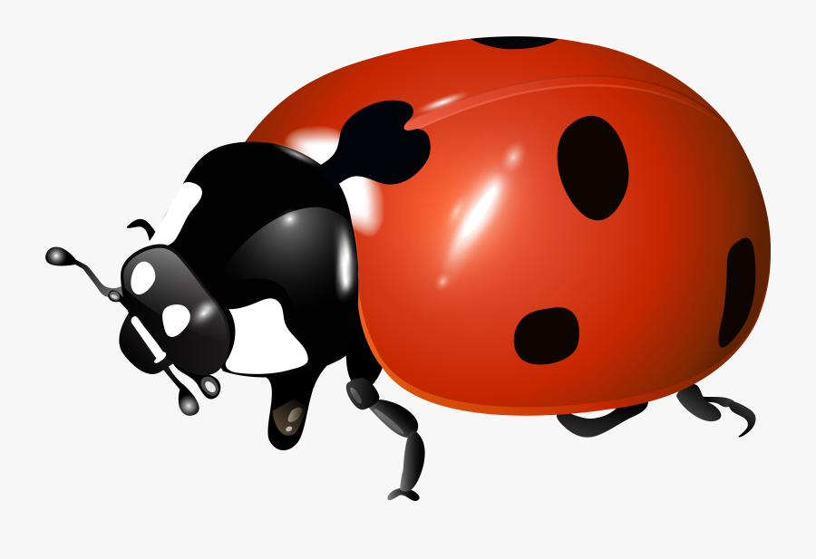 Ladybug Transparent, Transparent Clipart