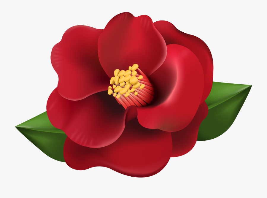 Red Flower Transparent Image - Red Flower Transparent, Transparent Clipart