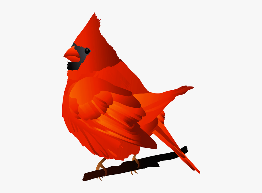 Free Cardinal Clipart - Cardinal Bird Clip Art, Transparent Clipart