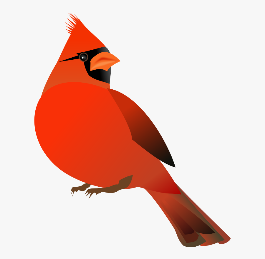 Red Cardinal - Cardinal Clipart Free, Transparent Clipart