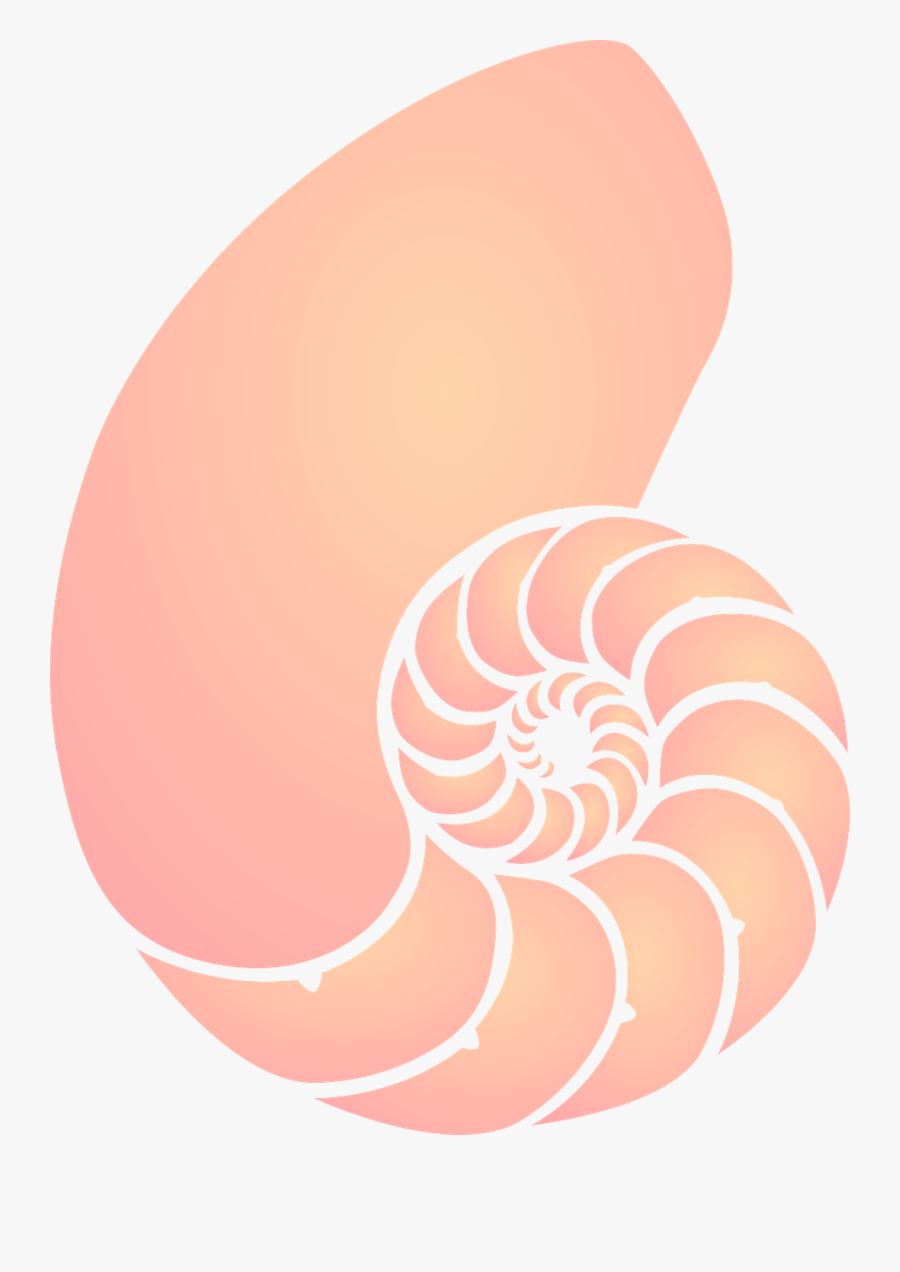 Shell Sea Orange Pink - Nautilus Shell Clipart, Transparent Clipart