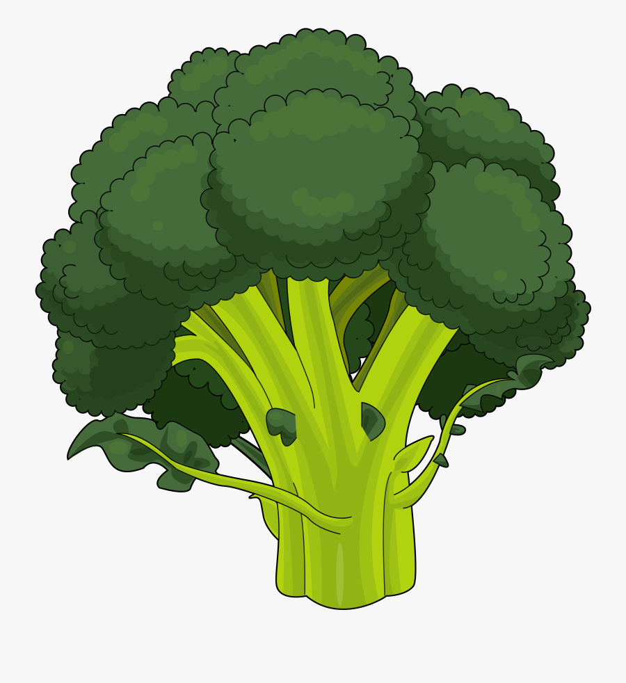 Brocoli Dibujo Png, Transparent Clipart