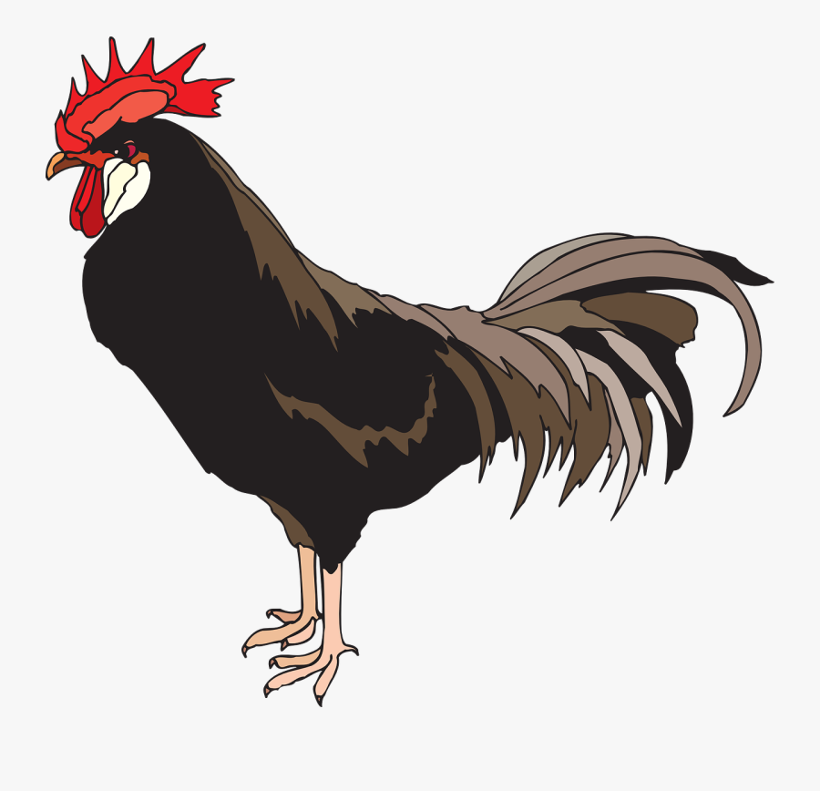 Transparent Rooster Silhouette Png, Transparent Clipart
