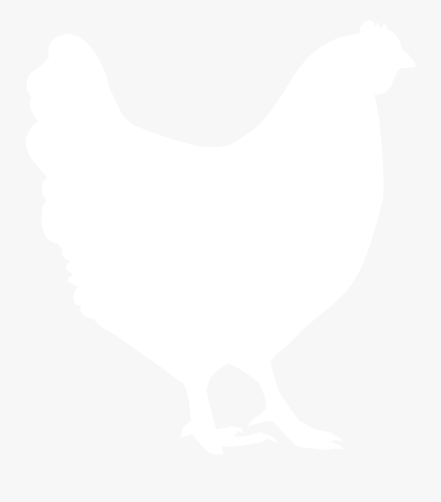 And White,livestock,clip Art,rock Dove,tail,wing - White Hen Icon Png, Transparent Clipart