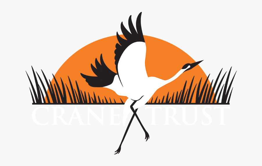 Crane Trust - Crane , Free Transparent Clipart - ClipartKey