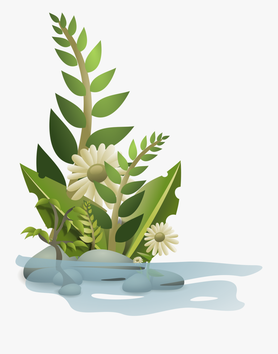 Plants Clipart Halaman - Water Plant Png, Transparent Clipart