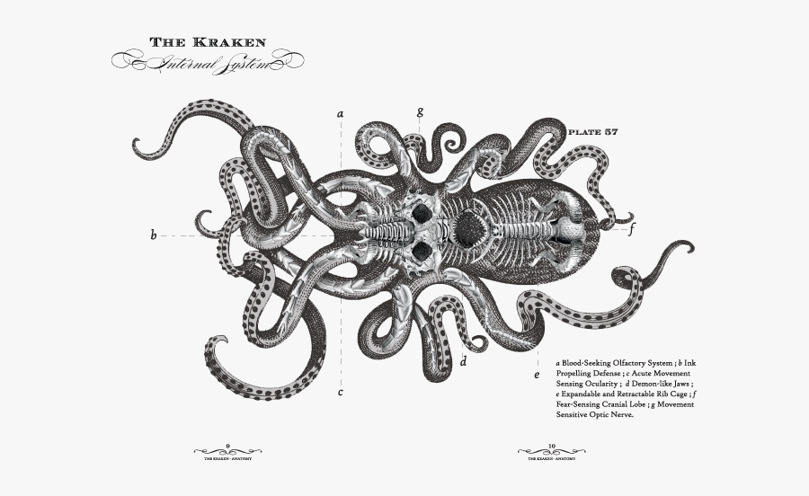 Transparent Octopus Clipart Black And White - Kraken Rum, Transparent Clipart