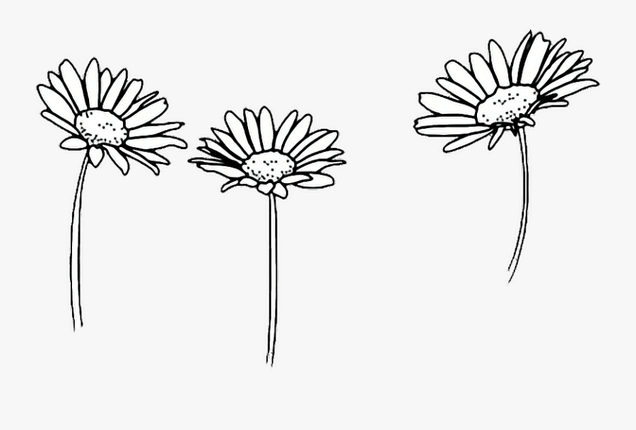 Tumblr Flower Drawings Pictures And Cliparts, Download - Transparent Overlay Black And White, Transparent Clipart