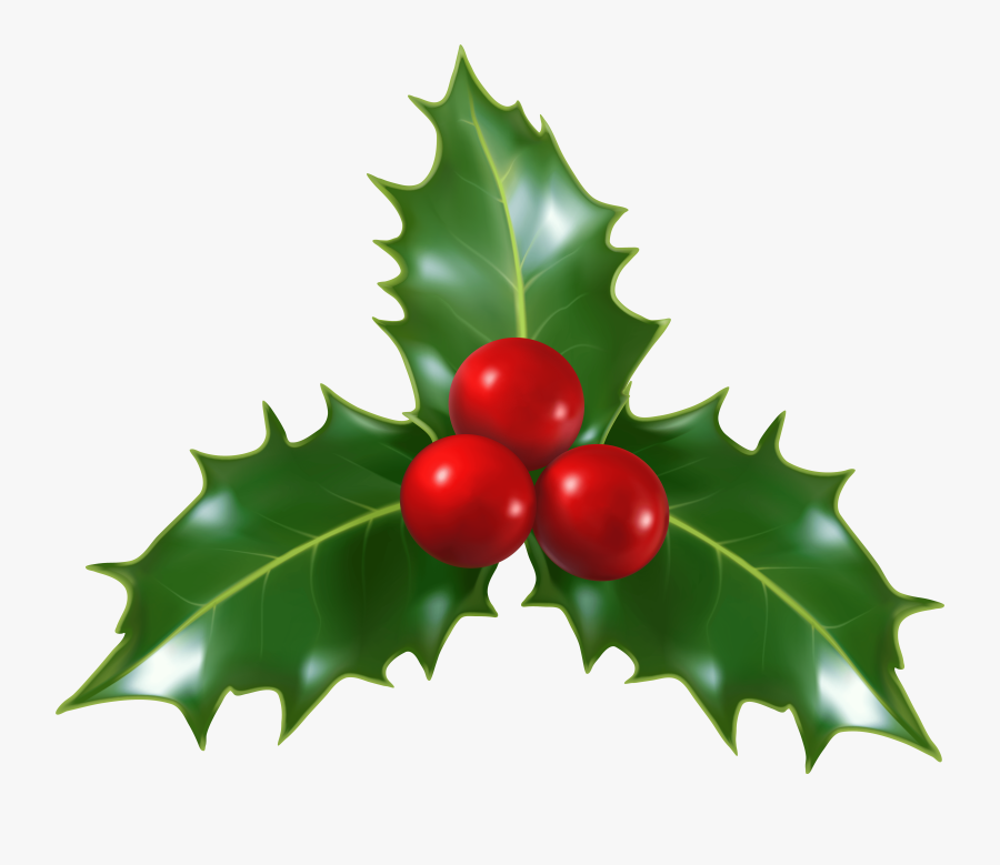Mistletoe Clipart / Includes both transparent png and flattened