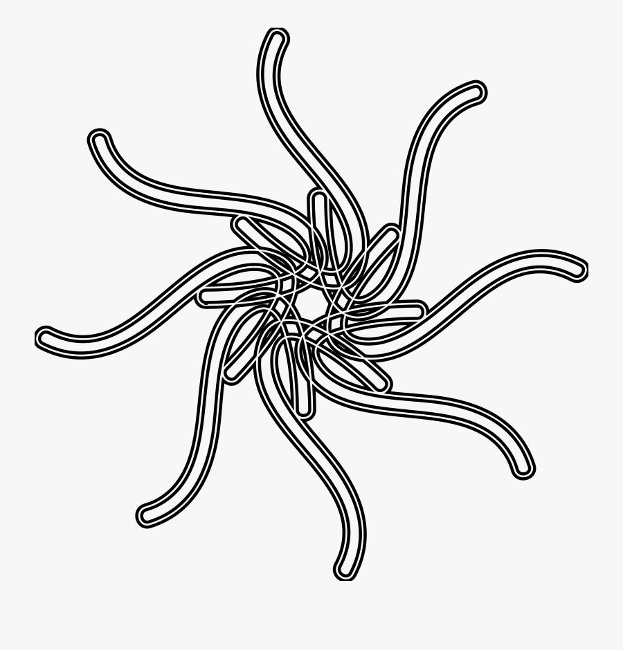 Clipart Black And White Sun - Insect, Transparent Clipart