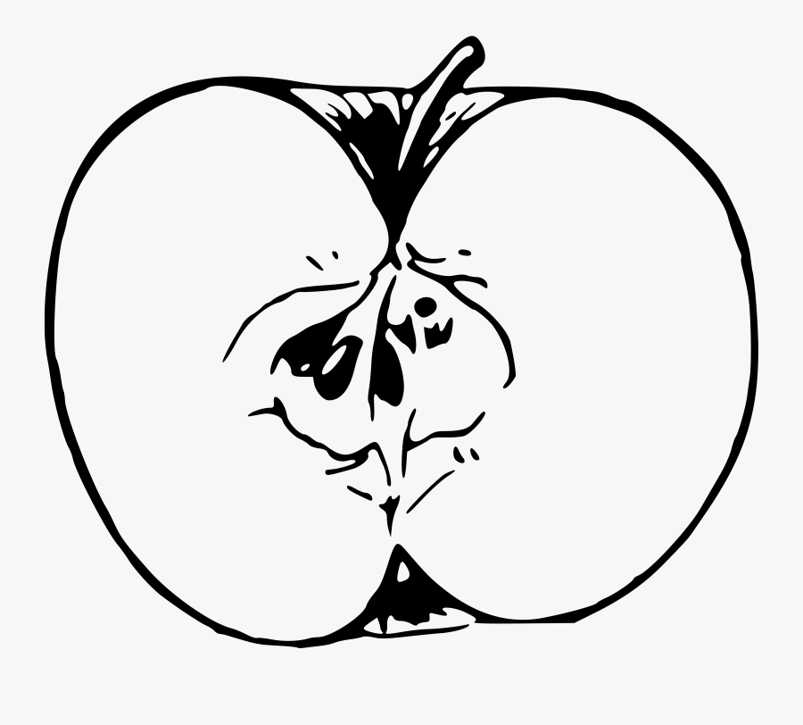 Apple Line Drawing At Getdrawings - Drawing Image Of A Apple, Transparent Clipart