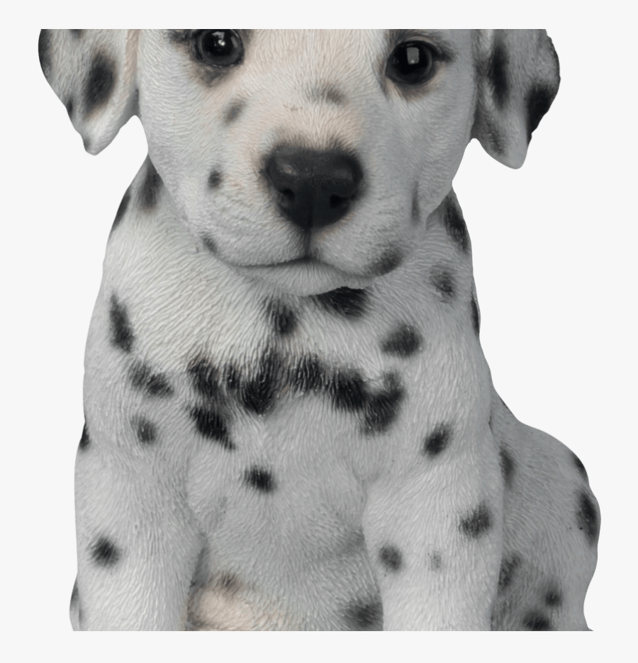 Transparent Cute Dog House Clipart - Dalmatian Puppy, Transparent Clipart
