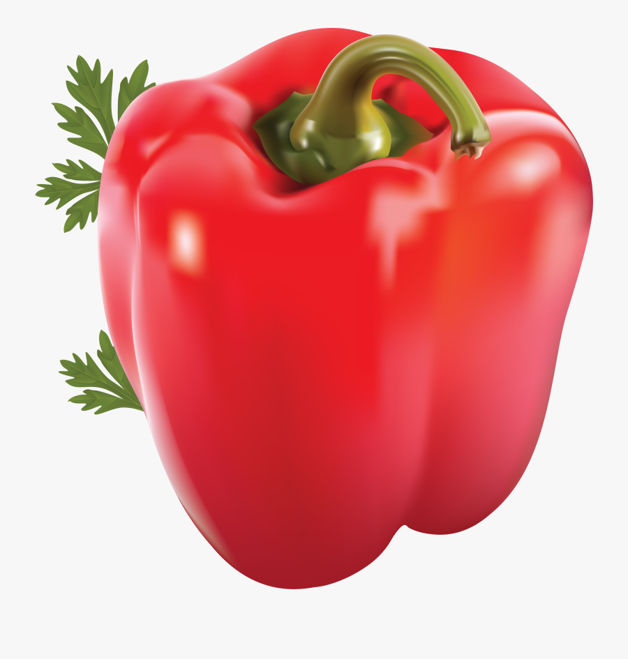 Clip Art Image Free Download Picures - One Red Bell Pepper, Transparent Clipart