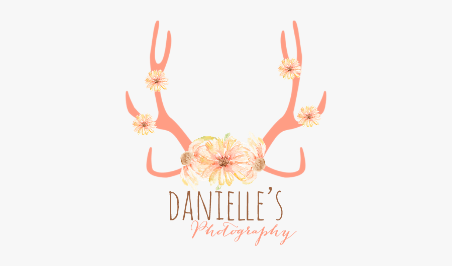 Antlers And Flowers Transparent, Transparent Clipart
