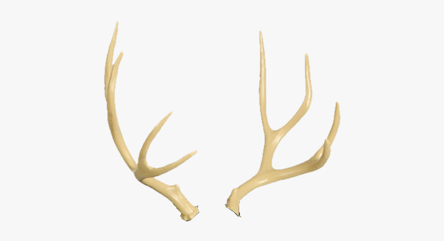 Deer Horn Png - Transparent Background Moose Antlers Transparent, Transparent Clipart