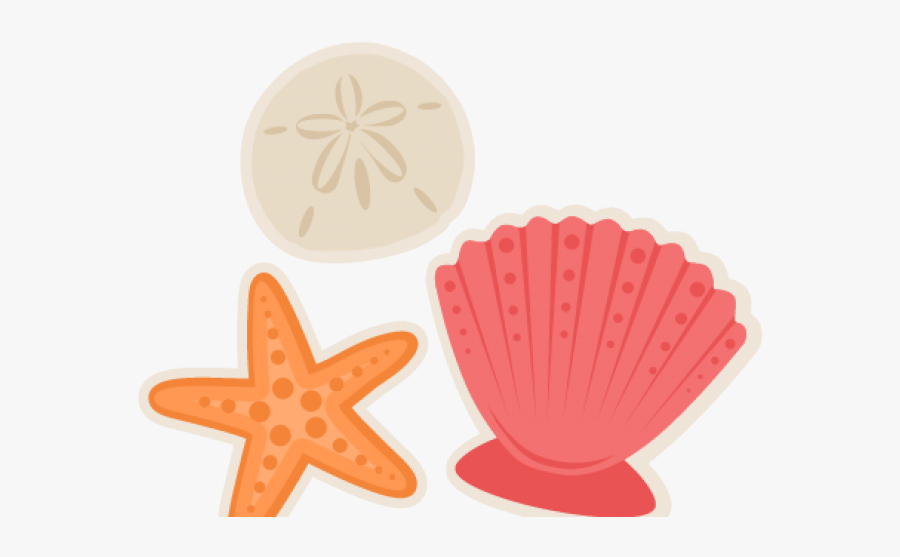 Sea Shells Picture Of Shell Cartoon, Transparent Clipart