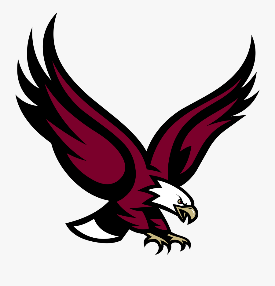Eagle Vector - Boston College Eagle Logo, Transparent Clipart