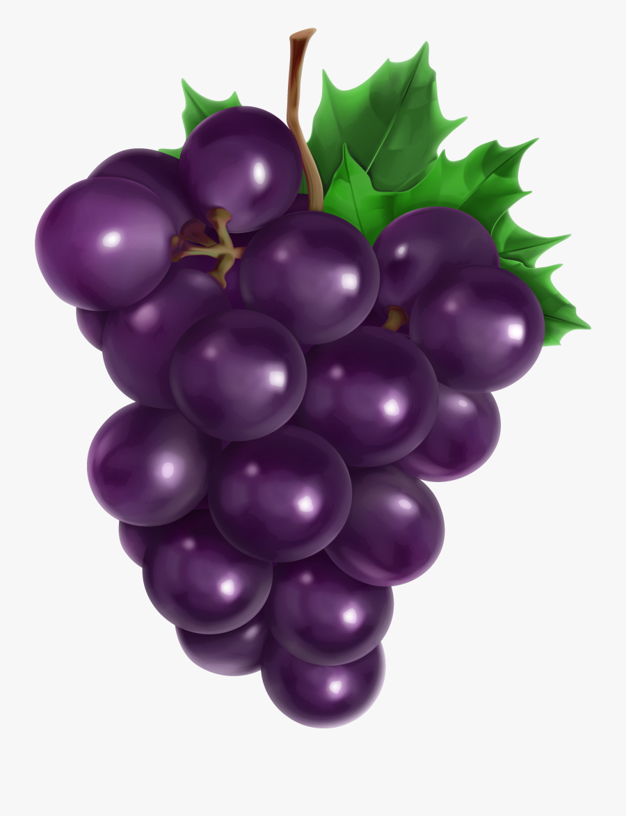 Transparent Png Picture Gallery - Grape Clipart, Transparent Clipart