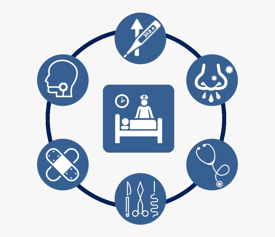 Principles Of Team Development, Transparent Clipart