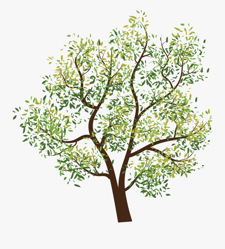 Branch Clipart Tree Paper - Png Format Tree Clipart Png, Transparent Clipart