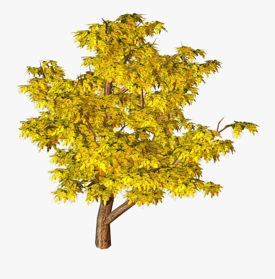 Yellow Fall Tree Clipart - Tree Png Hd Background, Transparent Clipart