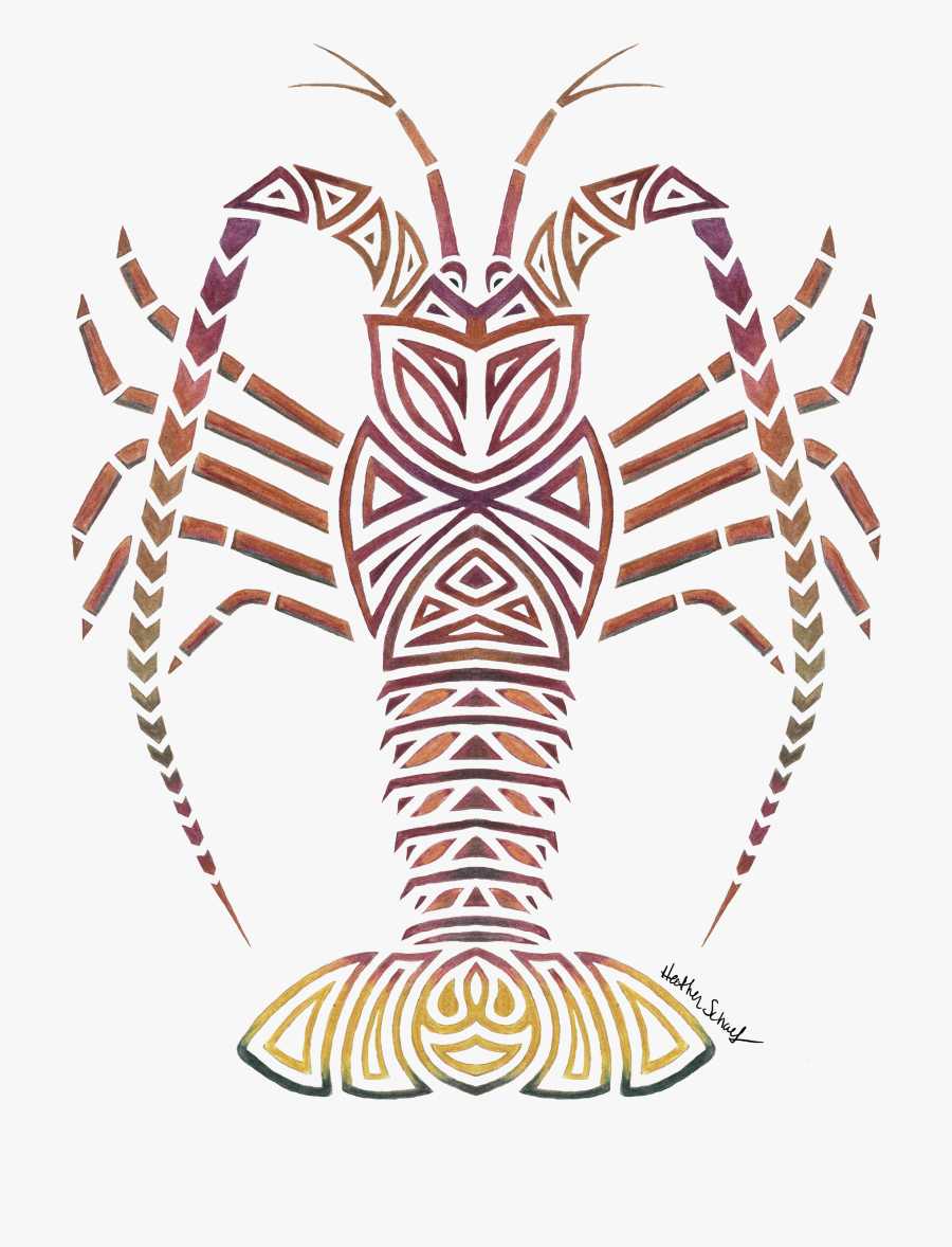Tribal Lobster - Caribbean Spiny Lobster Drawing, Transparent Clipart