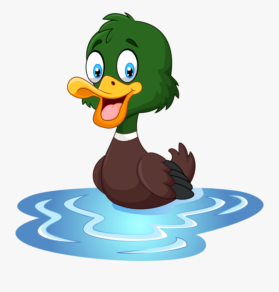 Mallard Duck Cartoon, Transparent Clipart