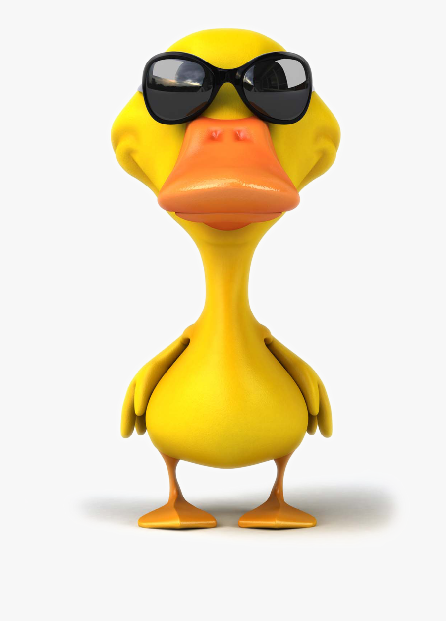 Pictures Photography Illustration Royalty-free Mallard - Duck With Sunglasses Clipart, Transparent Clipart