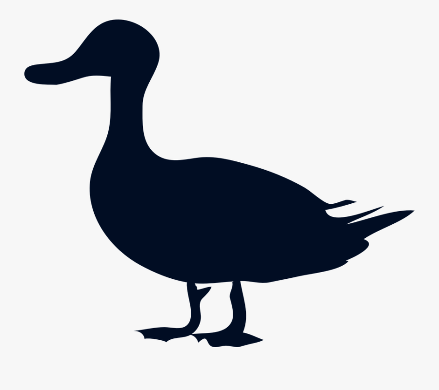 Donald Duck Mallard Silhouette Clip Art - Belligerent Duck, Transparent Clipart