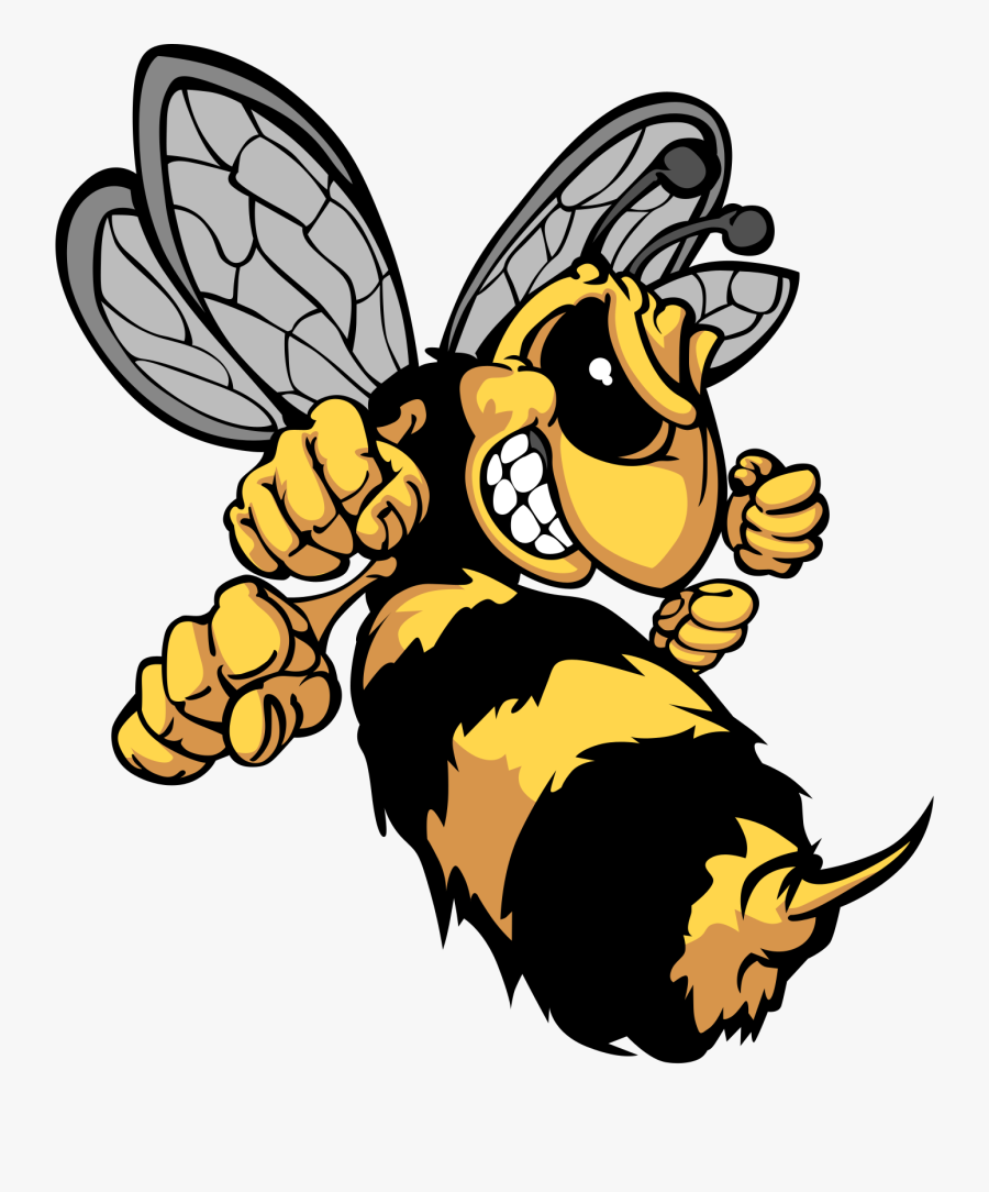 Clip Art Hornet Head - Hornets Cartoon, Transparent Clipart