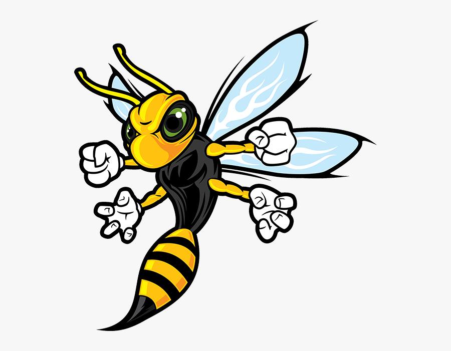 Collection Of Hornets - Cartoon Hornet, Transparent Clipart