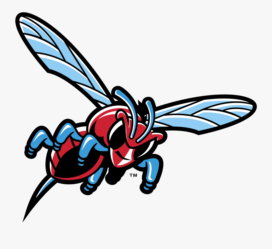 Delaware State Hornets Logo Png Transparent Vector - Delaware State Hornets Band, Transparent Clipart