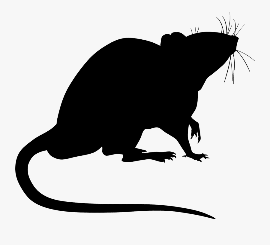 Silhouette Rat Png, Transparent Clipart