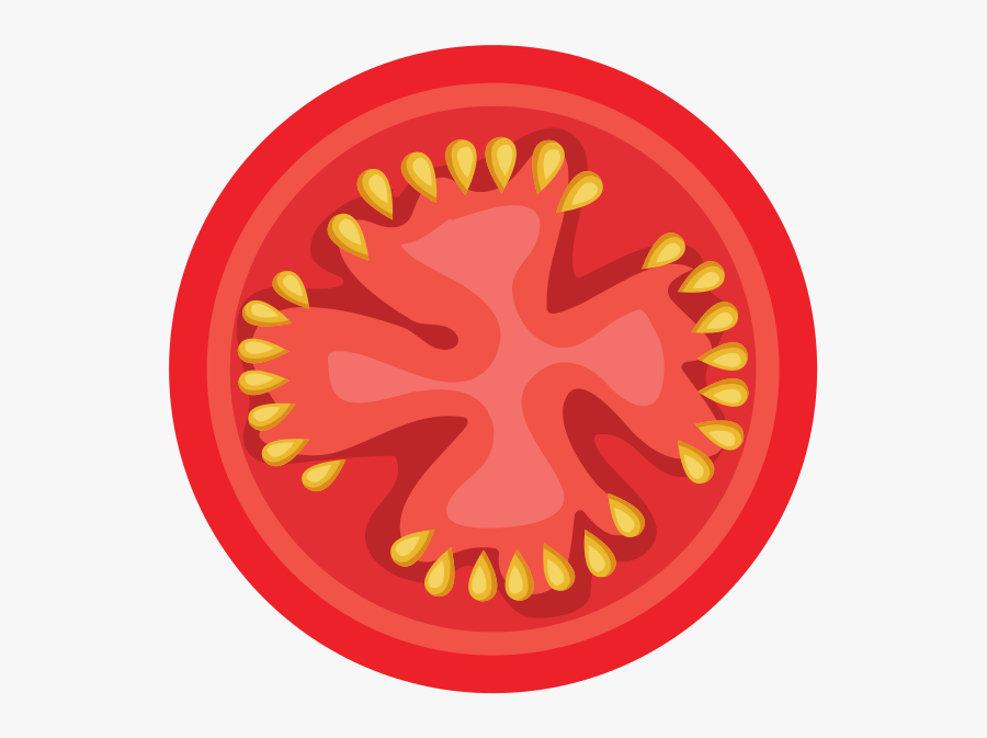 Drawing Of The Inside Of A Tomato - Illustration, Transparent Clipart