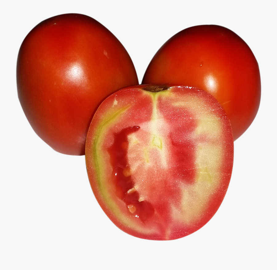 Red Tomato - Plum Tomato, Transparent Clipart