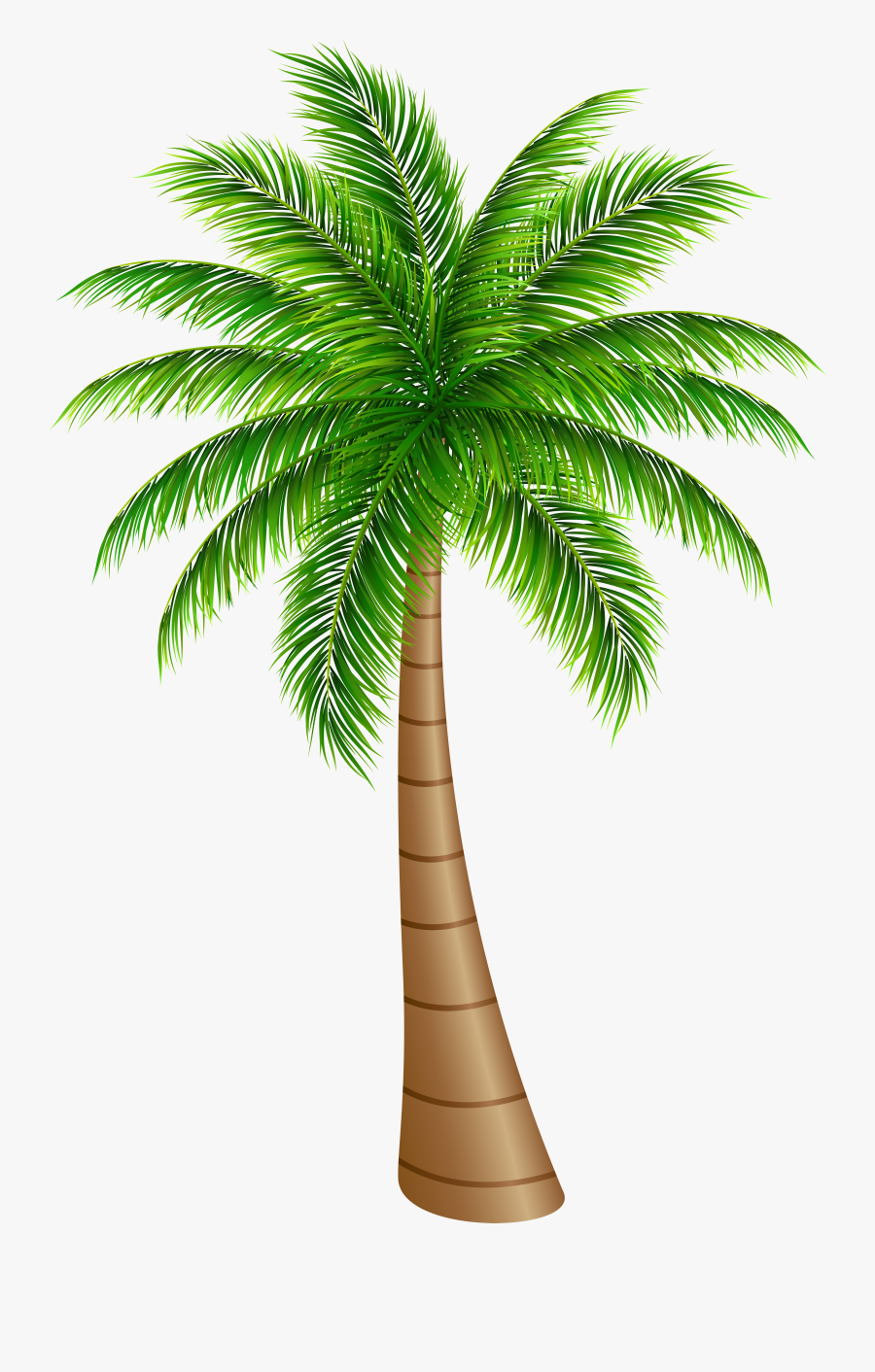 Palm Tree Clip Art , Free Transparent Clipart - ClipartKey