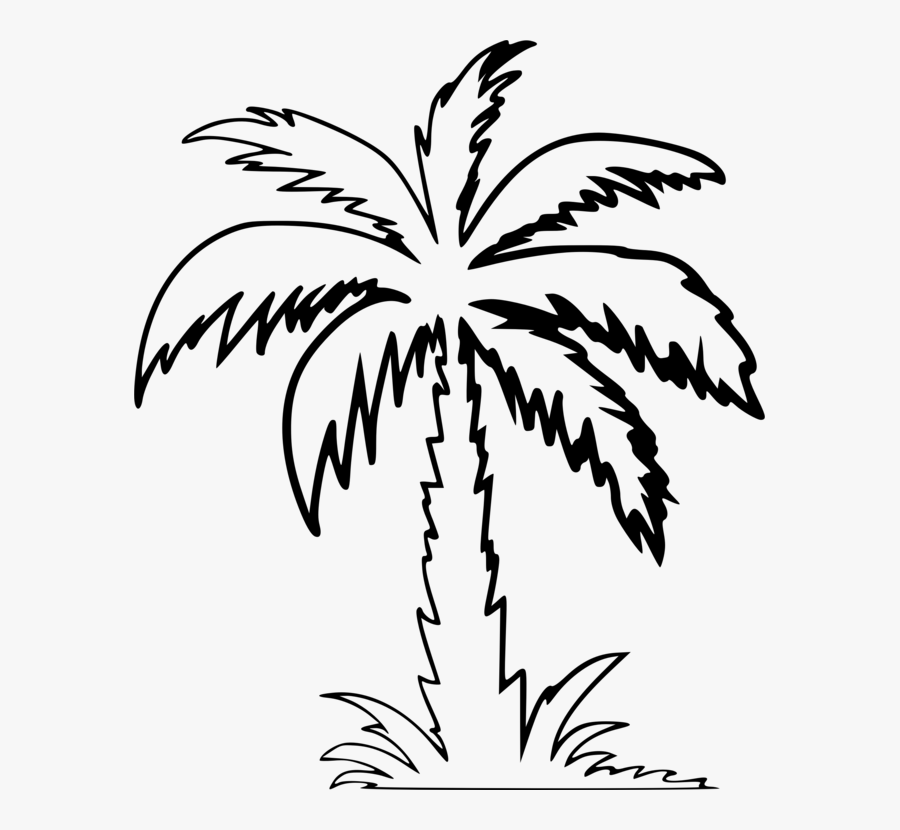 Clip Art Computer Icons Silhouette Free - Palm Tree Clipart Outline, Transparent Clipart
