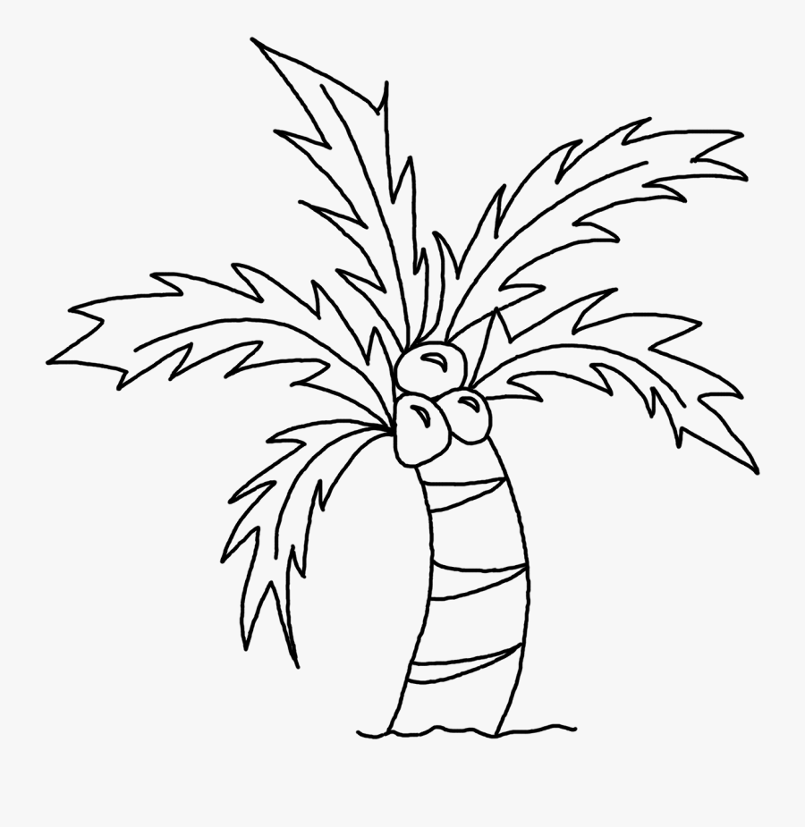 Coconut Tree Pictures Drawing ~ 3d Drawing - Coconut Tree Drawing Easy, Transparent Clipart