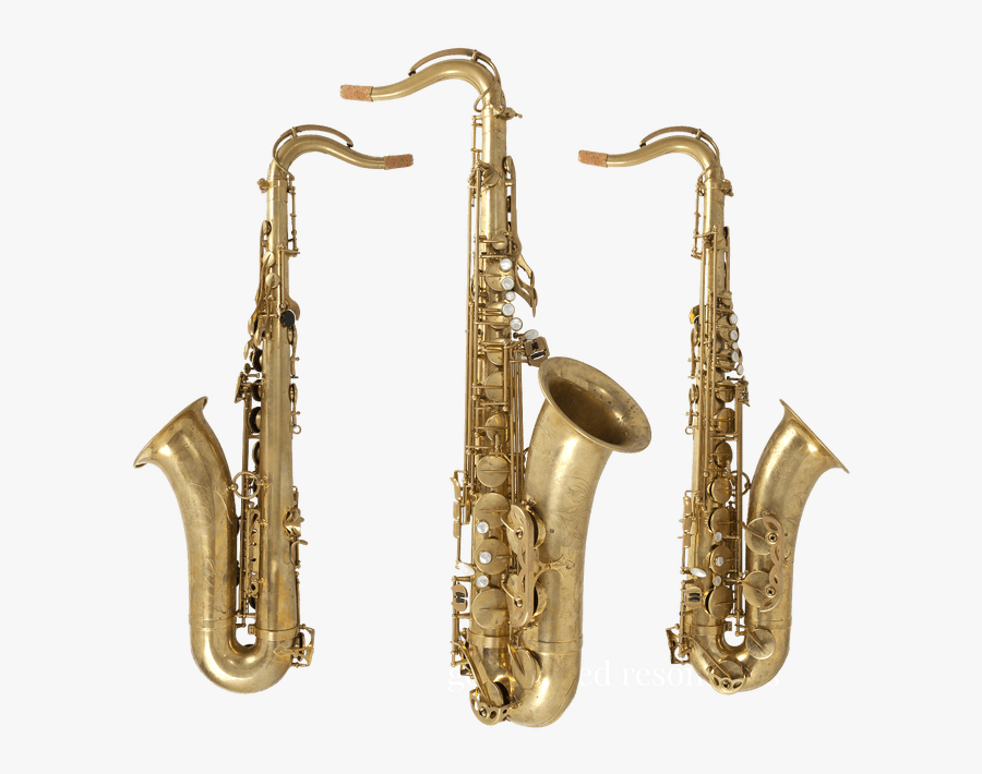 Clip Art Remy Saxophones Charlie S - Saxophone, Transparent Clipart