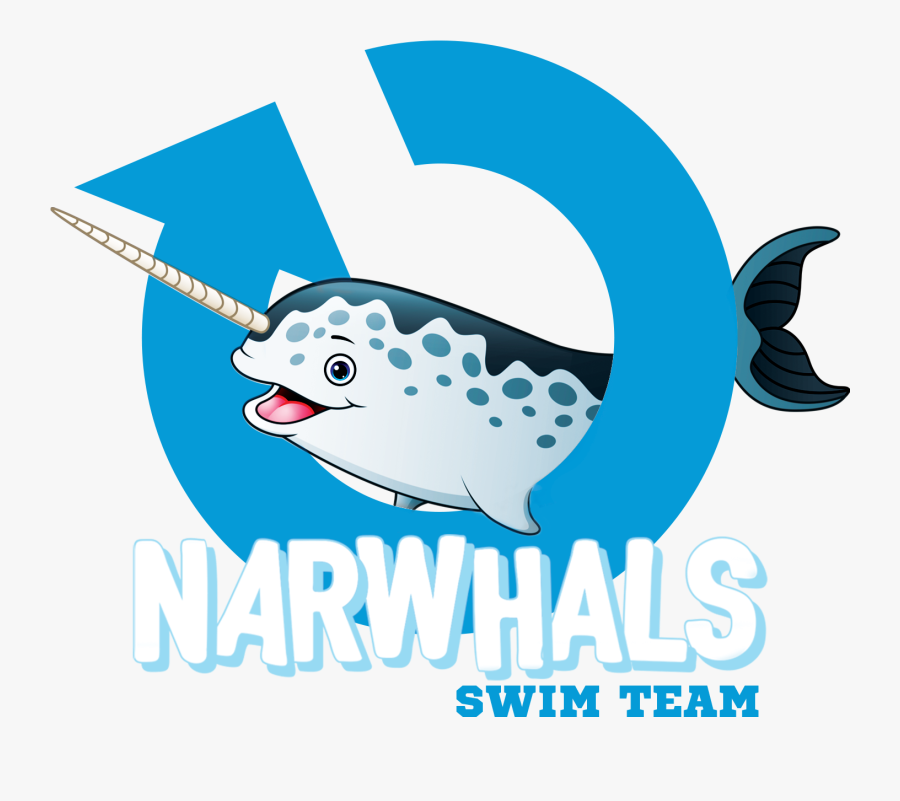 Image - Narwhal In Cartoon, Transparent Clipart